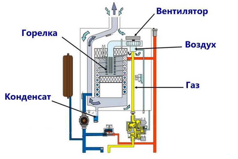 Схема, устройство и принцип работы газовых котлов